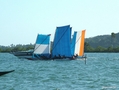 Regata de Canoa 4.jpg

115,43 KB 
750 x 563 
17/10/2005
